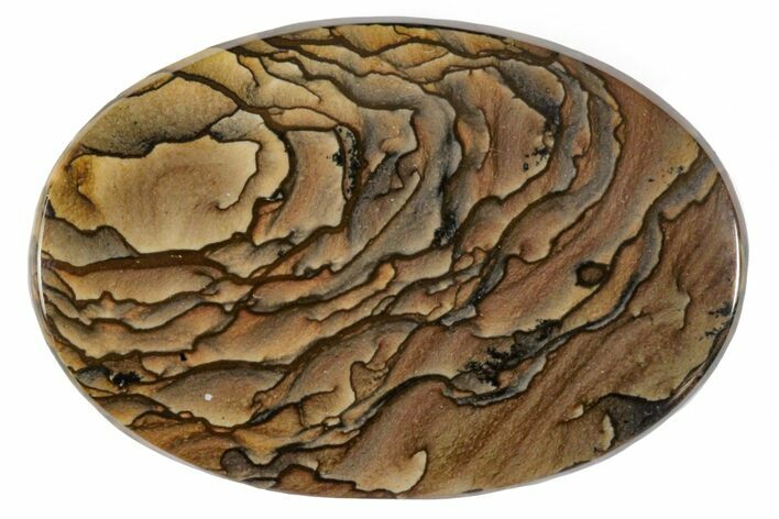 Biggs Picture Jasper Oval Cabochon #171356